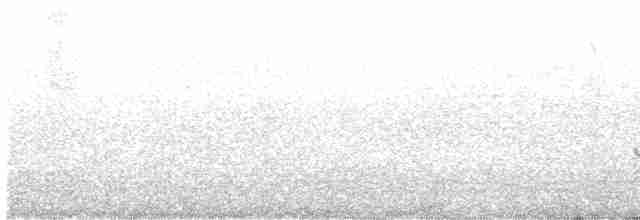 Короткоклювый бекасовидный веретенник - ML466496401