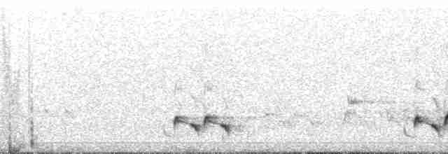 Streifenpanthervogel - ML46655