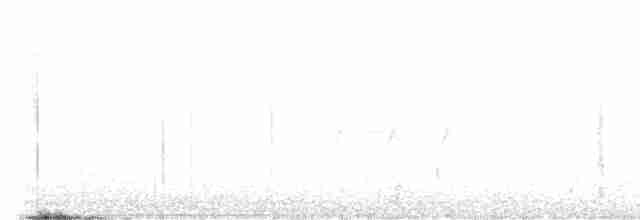Шишкар ялиновий - ML466573021