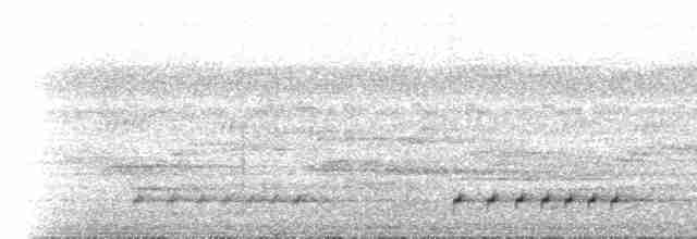 Speckled Tinkerbird - ML466602271