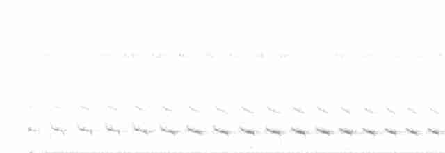 White-tailed Trogon - ML466643041