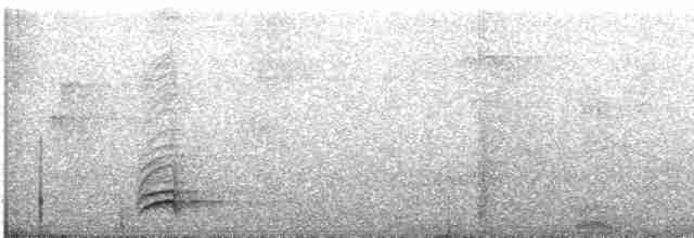 White-necked Thrush - ML466693731