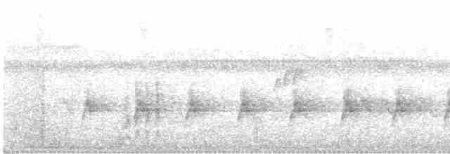 Нікорник сірий (підвид cinerea/funebris) - ML466724811