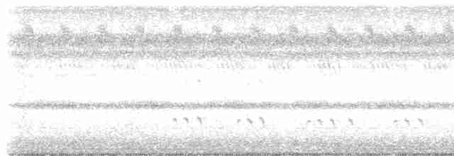 Травяная сипуха - ML466765261