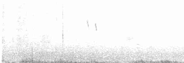 Gray Wagtail - ML466782641