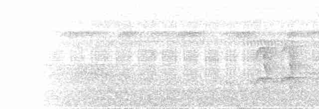 Желтоклювая якамара - ML466901511