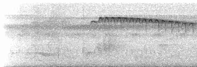 Rufous-backed Stipplethroat (Rio Negro) - ML466911641