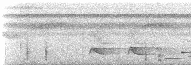 Тріскопліт рудолобий (підвид transfluvialis) - ML466911711