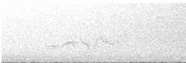Дрізд-короткодзьоб Cвенсона - ML466926511