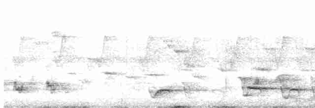 Boyalı Horoz Kekliği - ML466981971