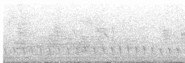 Fleckenbrust-Ameisenfänger - ML467104961