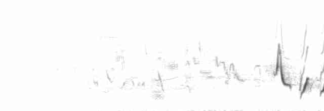 Eastern Orphean Warbler - ML467137091