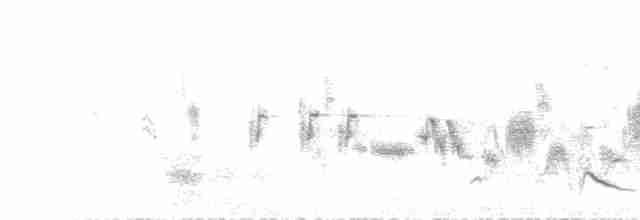 Eastern Orphean Warbler - ML467137131