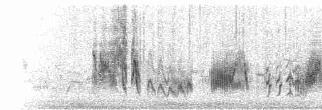 Woodchat Shrike (Caucasian) - ML467154411
