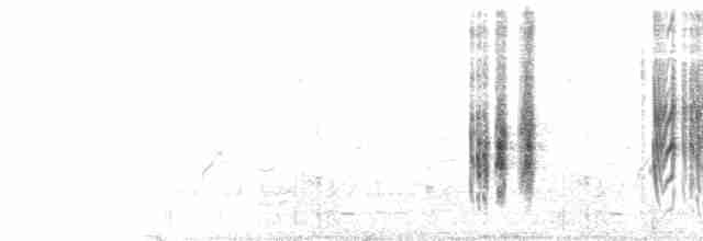 Красноголовый сорокопут (niloticus) - ML467154421