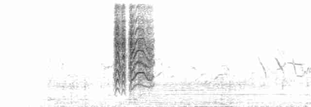 Woodchat Shrike (Caucasian) - ML467154851