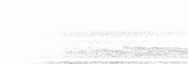 Каштановый зимородок - ML467253771