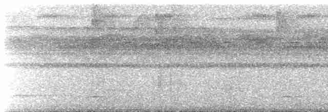 Тиран-плоскодзьоб рудохвостий - ML467351391