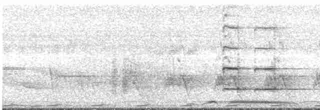 Kestane Kanatlı Tepeli Guguk - ML467455291