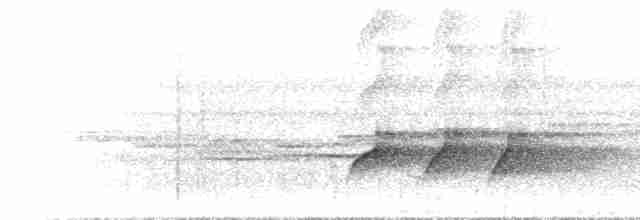 Dusky Long-tailed Cuckoo - ML467461791