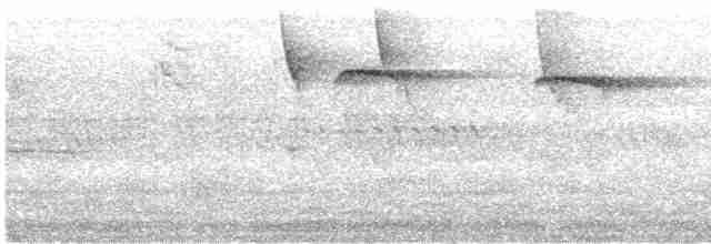 Пилоклювый колибри-отшельник - ML467488691