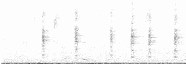 Goldstirnspecht (aurifrons) - ML467509341