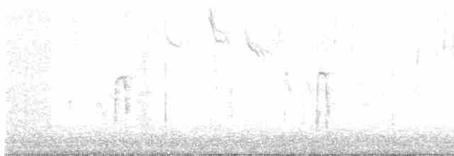 Pic chevelu (groupe villosus) - ML467514691