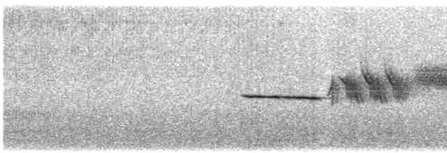 Бруант білобровий (підвид oriantha) - ML467627511