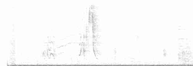 Cichladuse tachetée - ML467752611