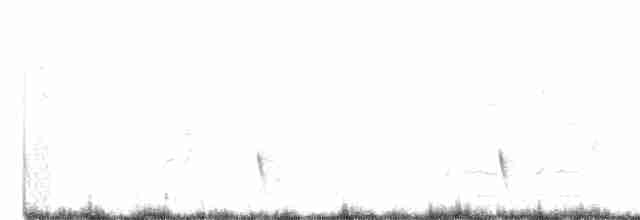 Gray Wren-Warbler - ML467752771