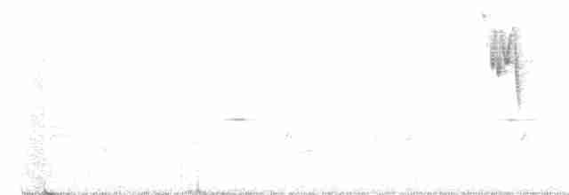 Щедрик білочеревий - ML467752921