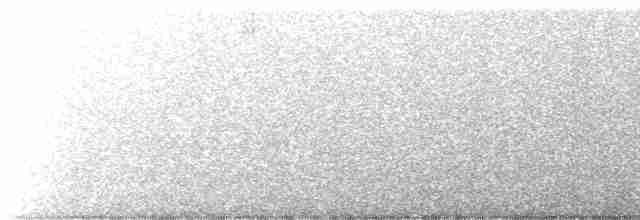 Каролинский крапивник (albinucha/subfulvus) - ML467827631