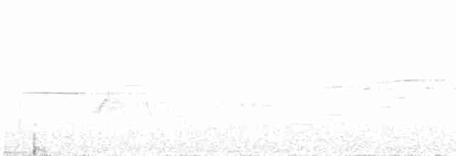 Дрізд-короткодзьоб плямистоволий - ML467828781