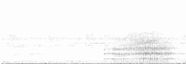 svartkronebrednebb - ML468130451