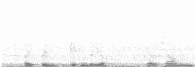 svartkronebrednebb - ML468130681