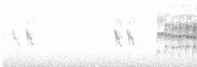 rorýs bělohrdlý - ML468212711