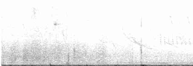 Arika Çölyıldızı - ML468212841
