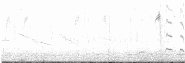 kalypta břitvochvostá - ML468215011