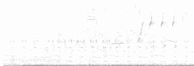 Cooper's Hawk - ML468244671