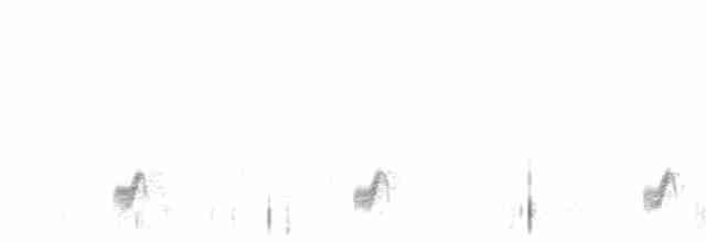 Eurasian Nightjar - ML468263961