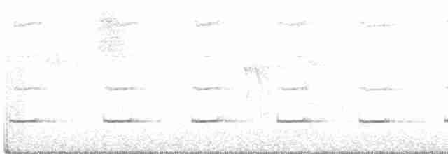 Black-crowned Antpitta - ML468271051
