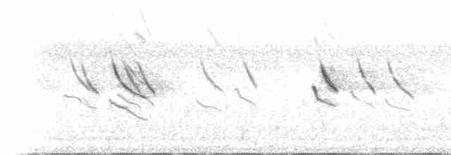Lesser Striped Swallow - ML468298721