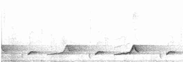 Schwarzkehl-Nachtschwalbe - ML468495251