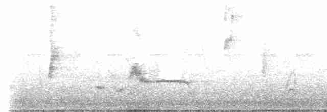 Gray Catbird - ML468496711