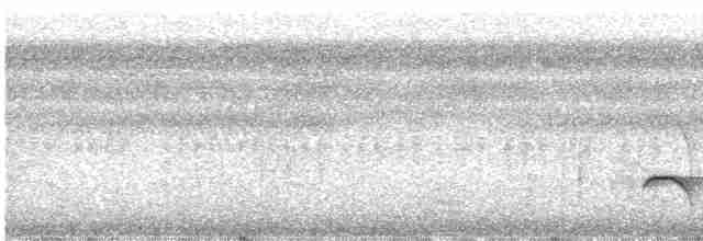 Мурав’янка-прудкокрил рондонійська - ML468556301