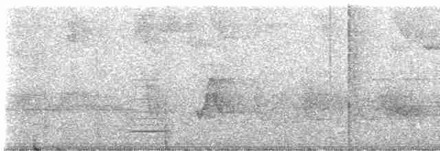 Yellow-shouldered Grassquit - ML468558231