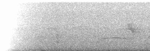 Boz Başlı Sinekkapan - ML468562401