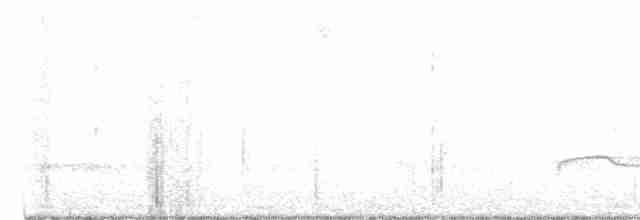 Дрімлюга гірський (підвид poliocephalus) - ML468589781