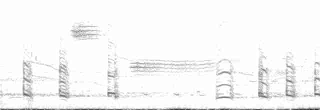 Черноногая кариама - ML46861971