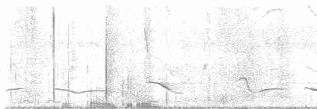 Oriole d'Audubon - ML468653561